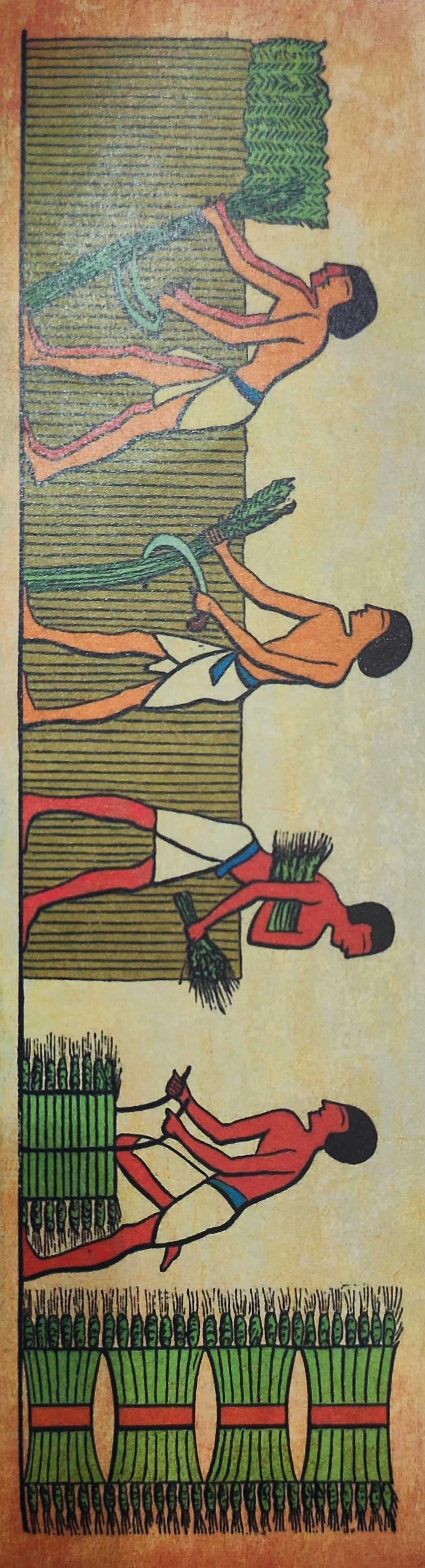 Illustration