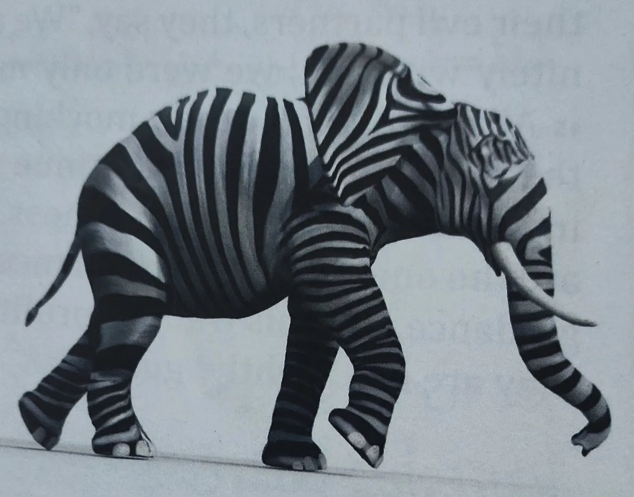 Illustration