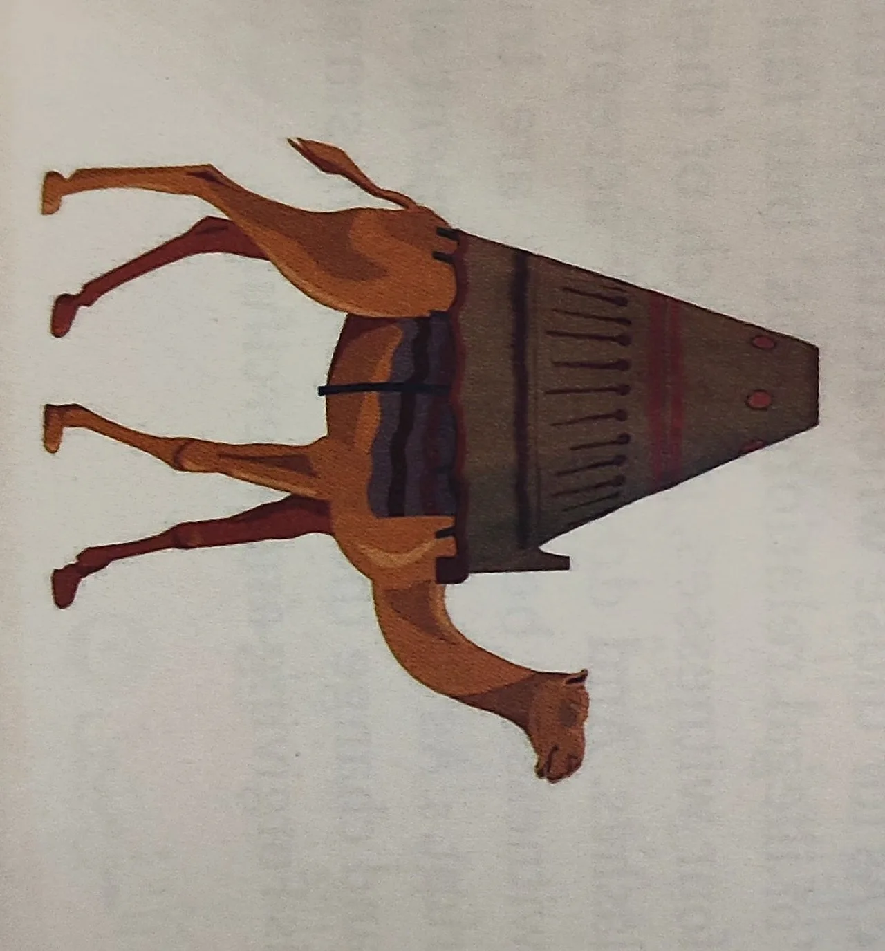 Illustration