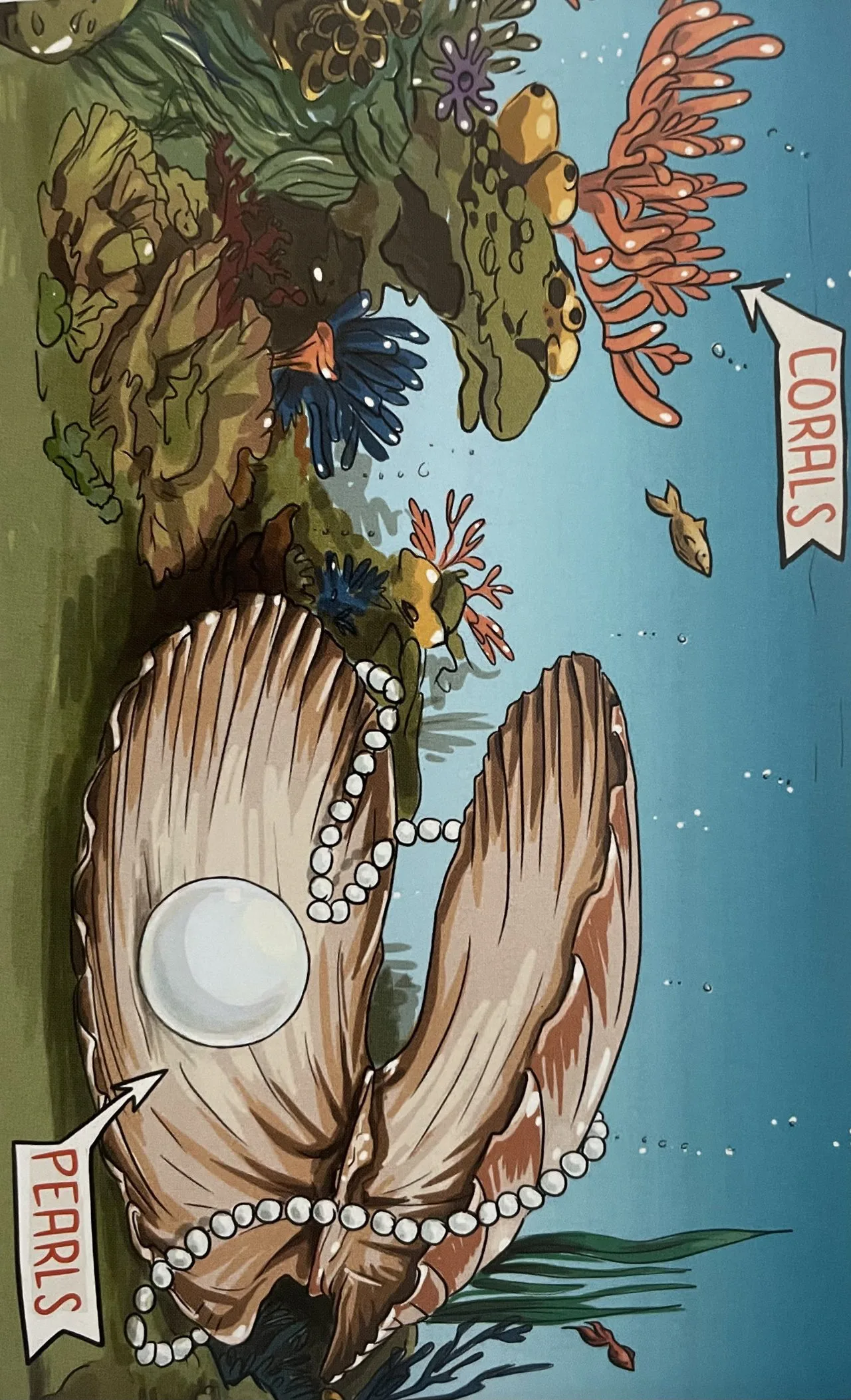 Illustration