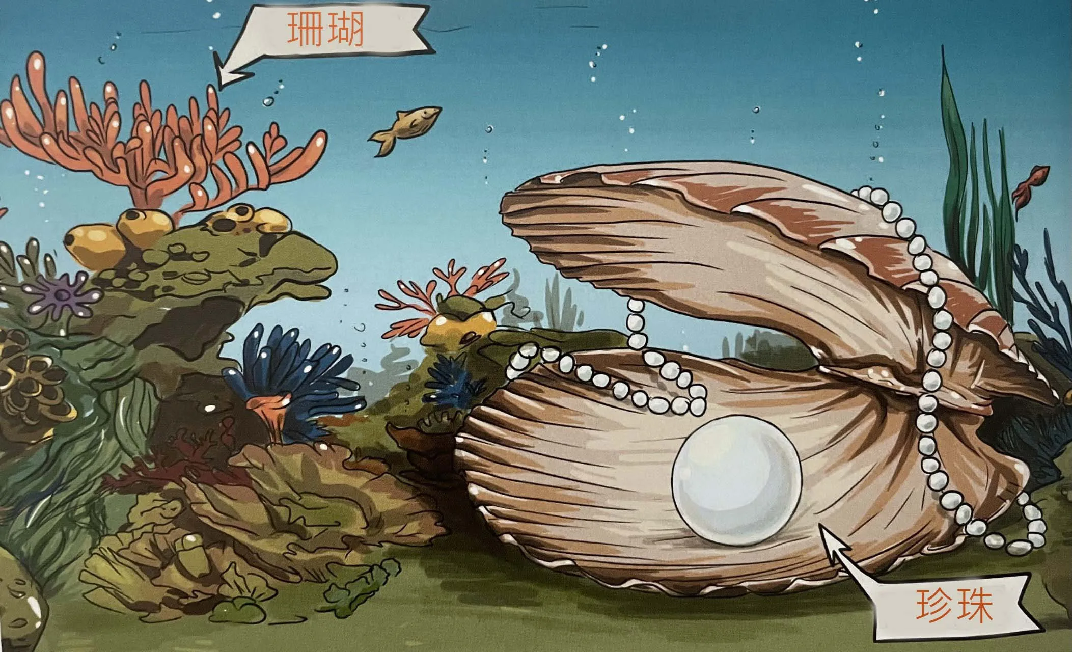 Illustration