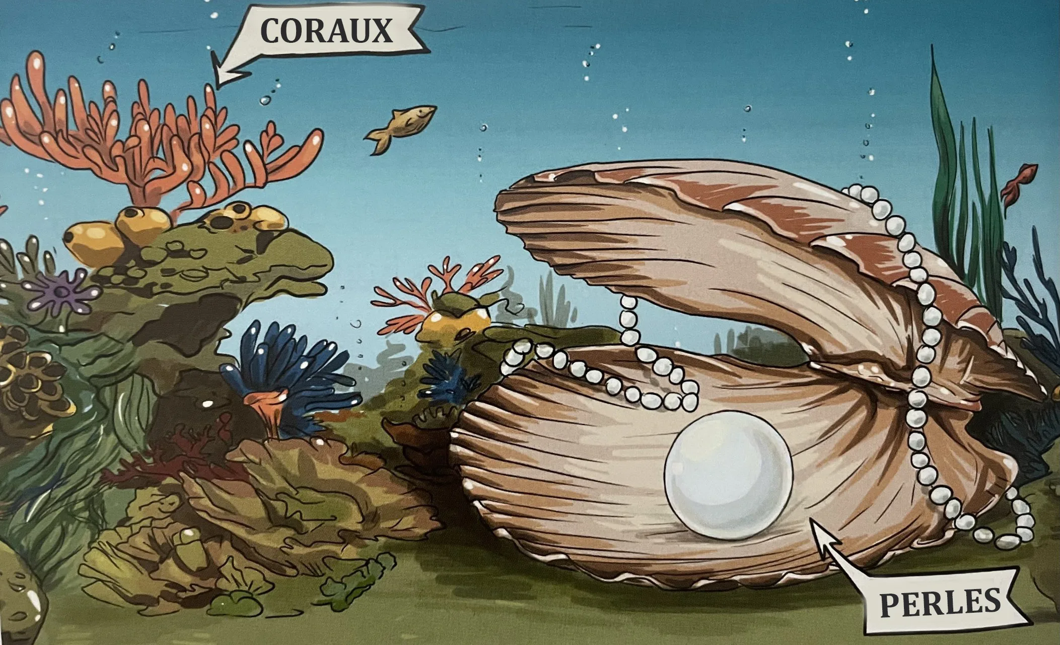 Illustration
