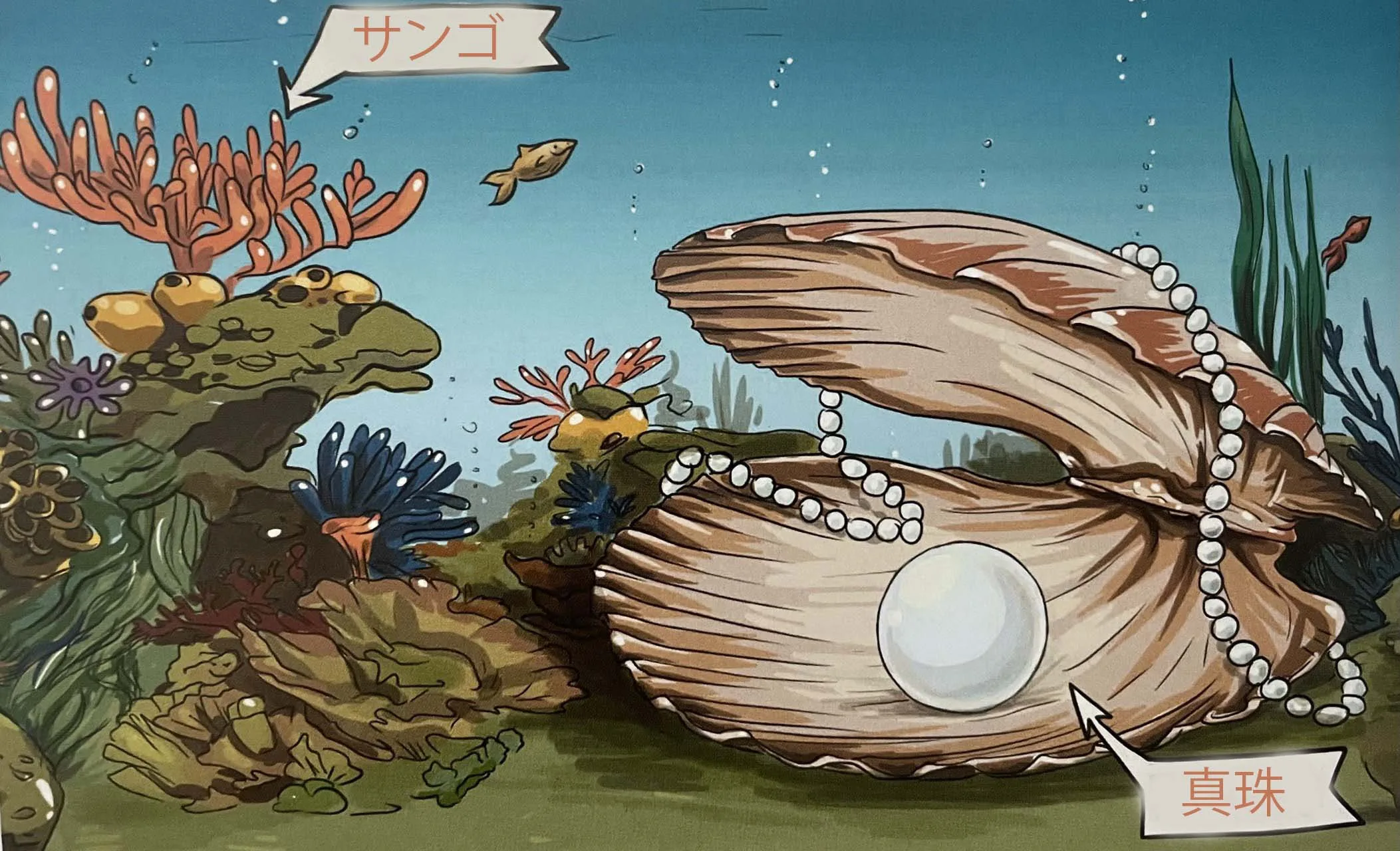 Illustration