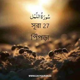 Surah 27 - An-Naml