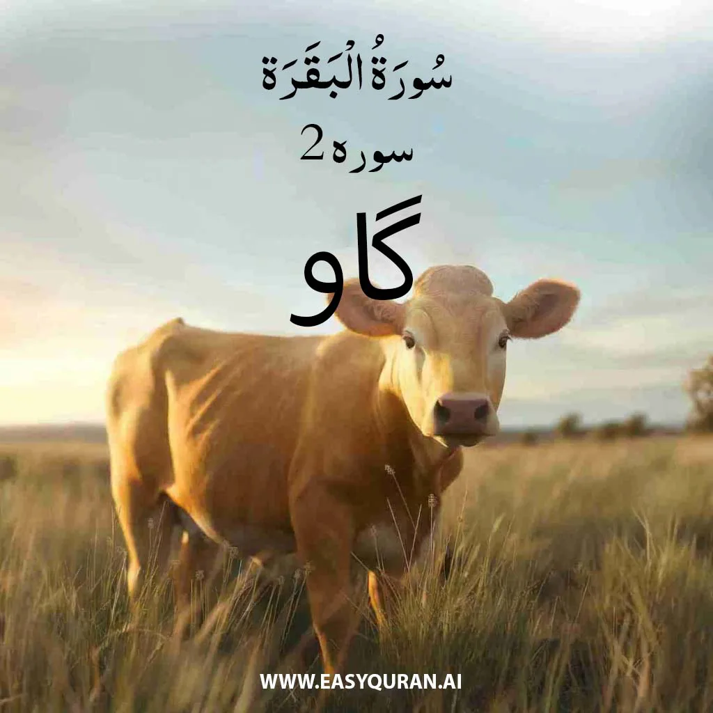 Surah 2 - Al-Fatihah