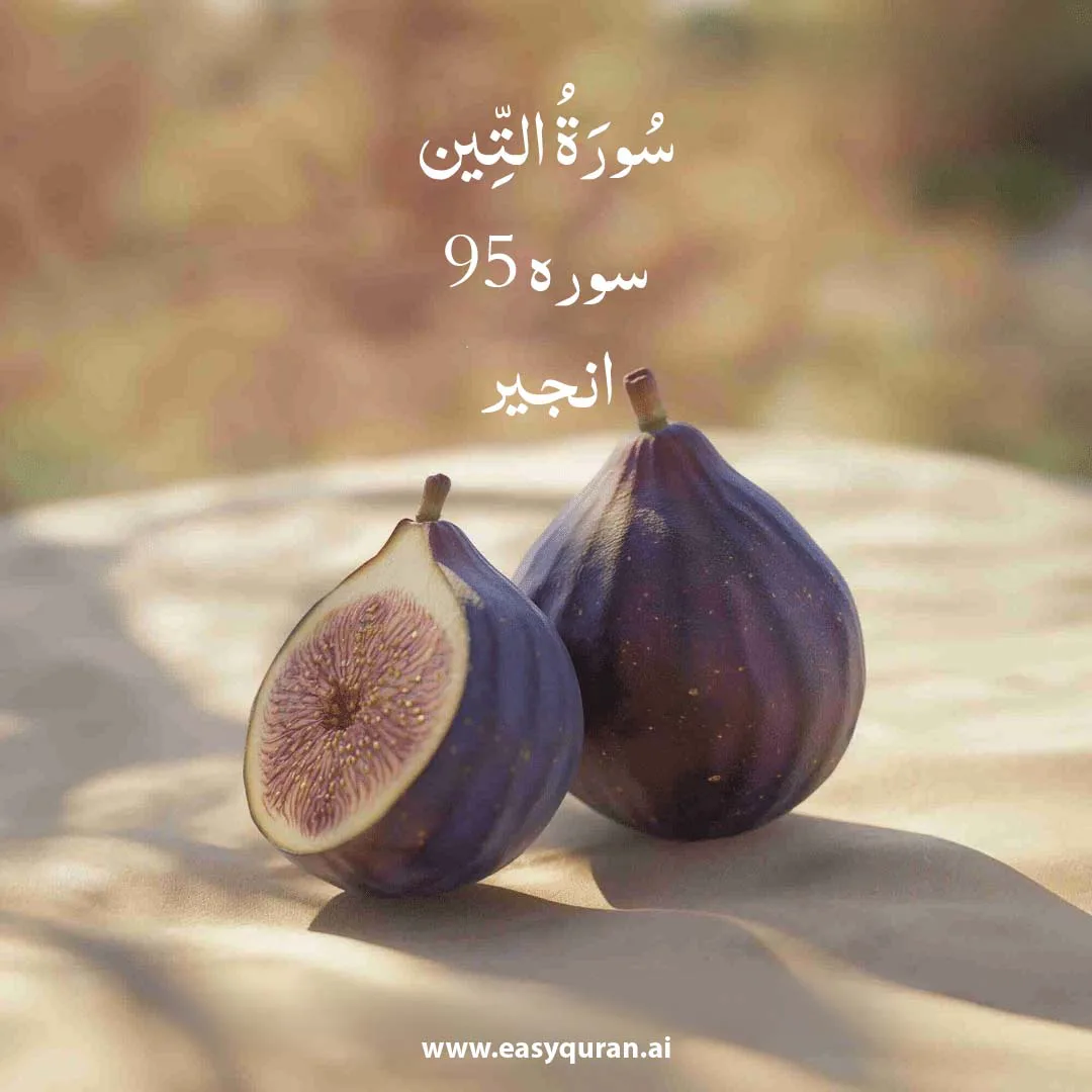 Surah 95 - التين