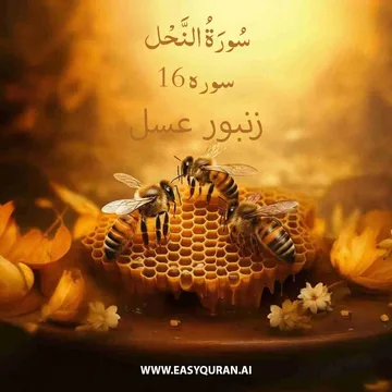 Surah 16 - النَّحل
