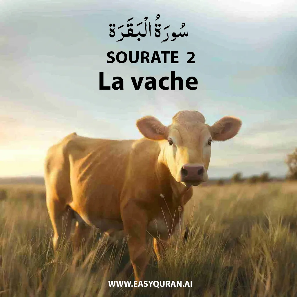 Surah 2 - Al-Fatihah