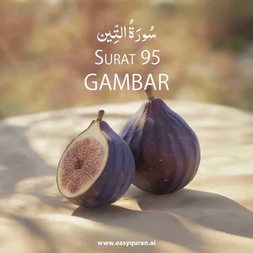Surah 95 - التِّين