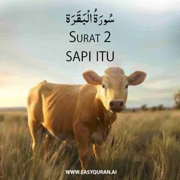 Surah 2 - البَقَرَة