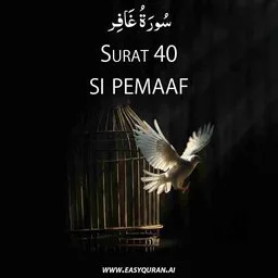 Surah 40 - غَافِر