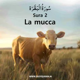 Surah 2 - Al-Baqarah