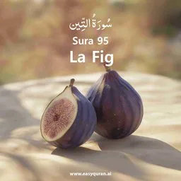 Surah 95 - At-Tîn