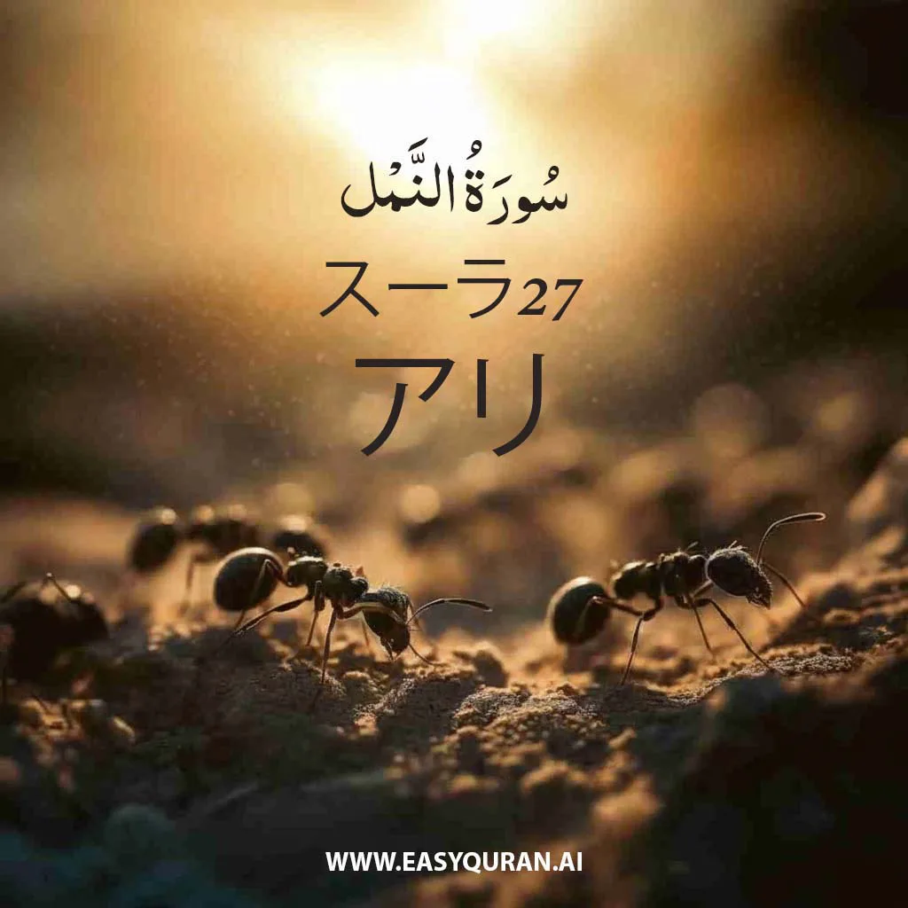 Surah 27 - النَّمْل