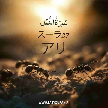 Surah 27 - النَّمْل
