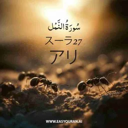 Surah 27 - An-Naml