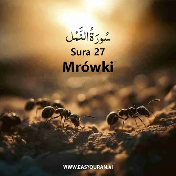 Surah 27 - النَّمْل