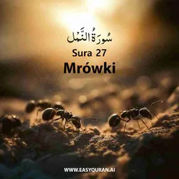 Surah 27 - النَّمْل