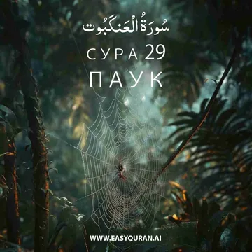 Surah 29 - العَنْكَبُوت