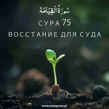 Surah 75 - القِيَامَة