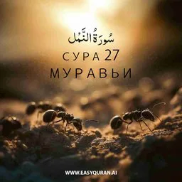 Surah 27 - النَّمْل