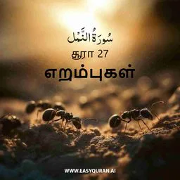 Surah 27 - النَّمْل