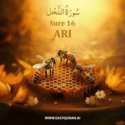 Surah 16 - An-Naḥl