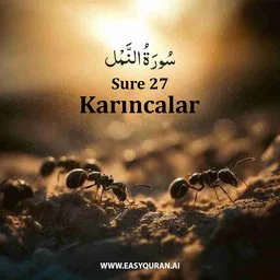 Surah 27 - An-Naml