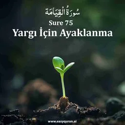 Surah 75 - Al-Qiyamah